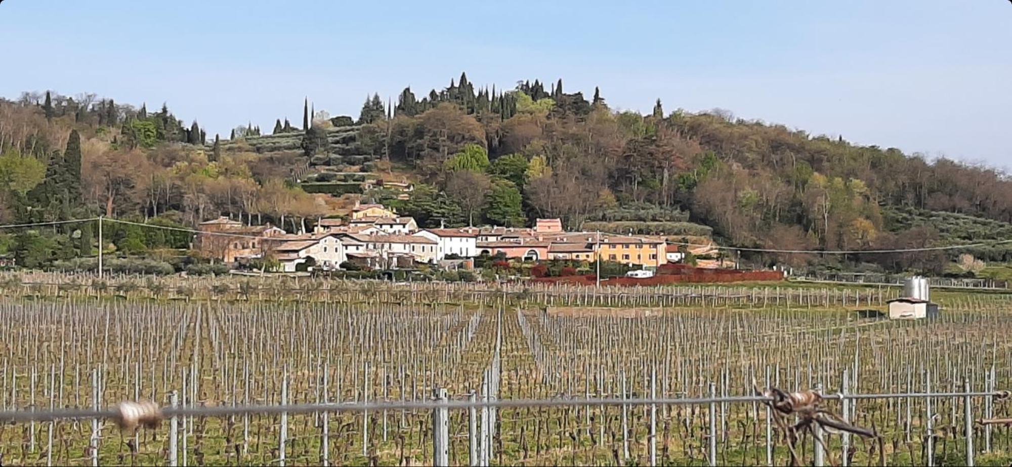 Appartamento Al Borgo Costermano Sul Garda Via Pertica 8A Camera foto